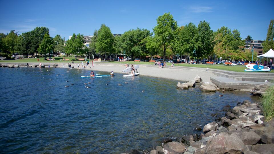 Marina Park which includes a park, a lake or waterhole and kayaking or canoeing