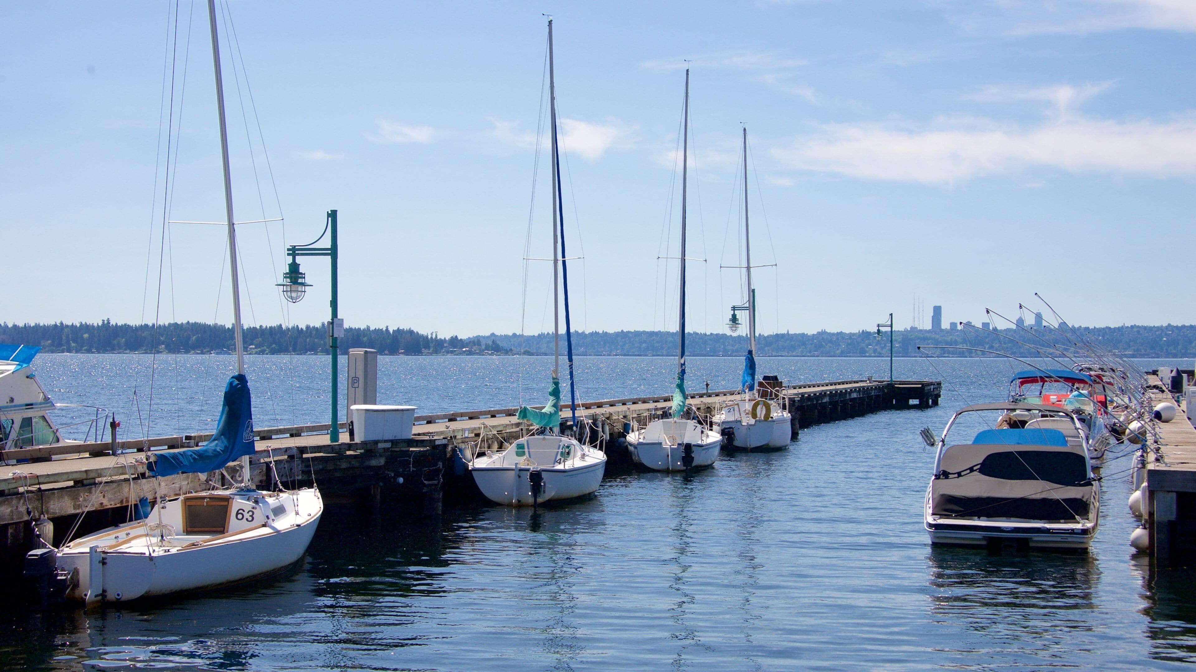 Marina Park showing a marina and a bay or harbor