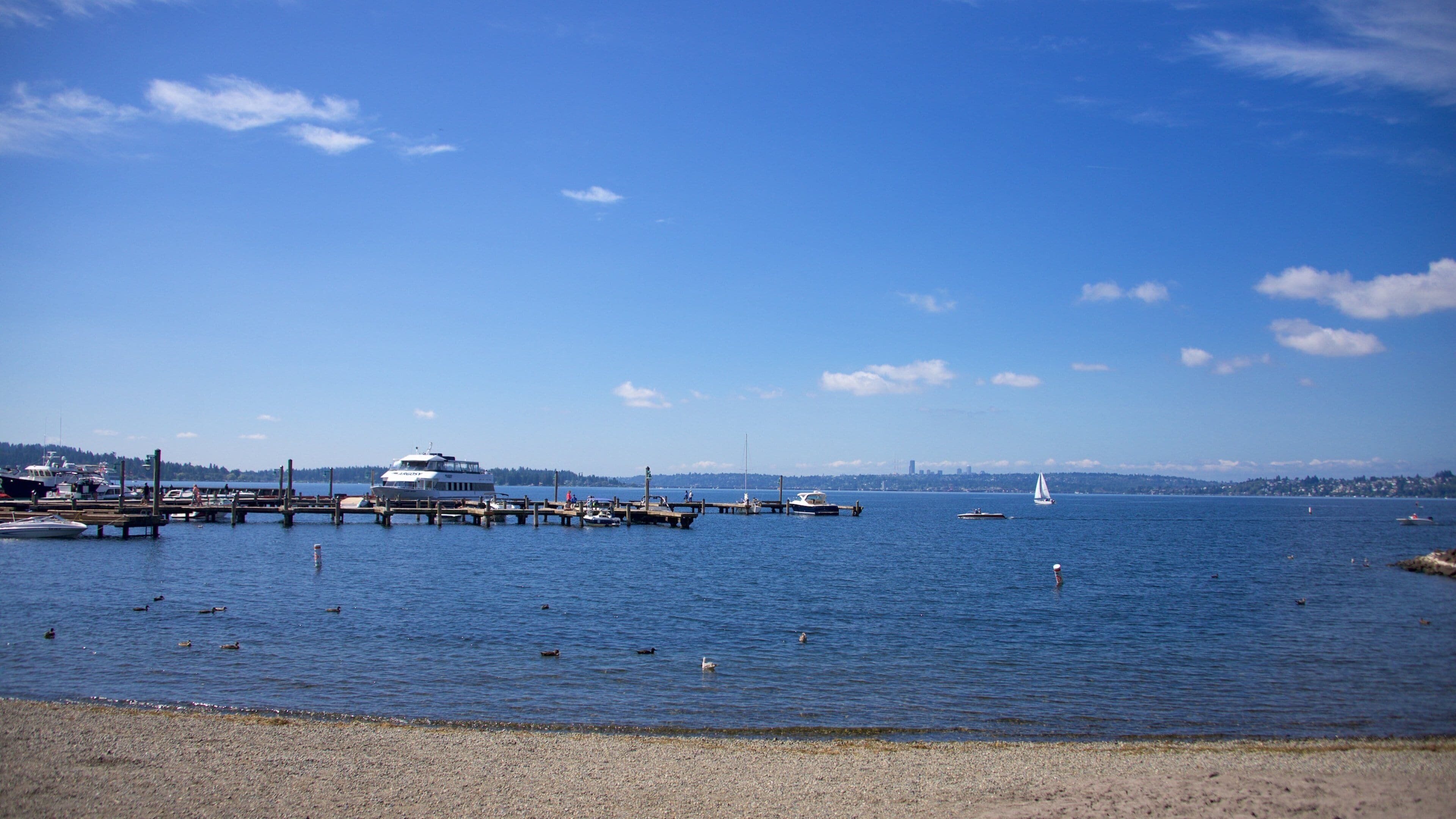 A harbor with boats, a sailboat, and a distant city skyline.