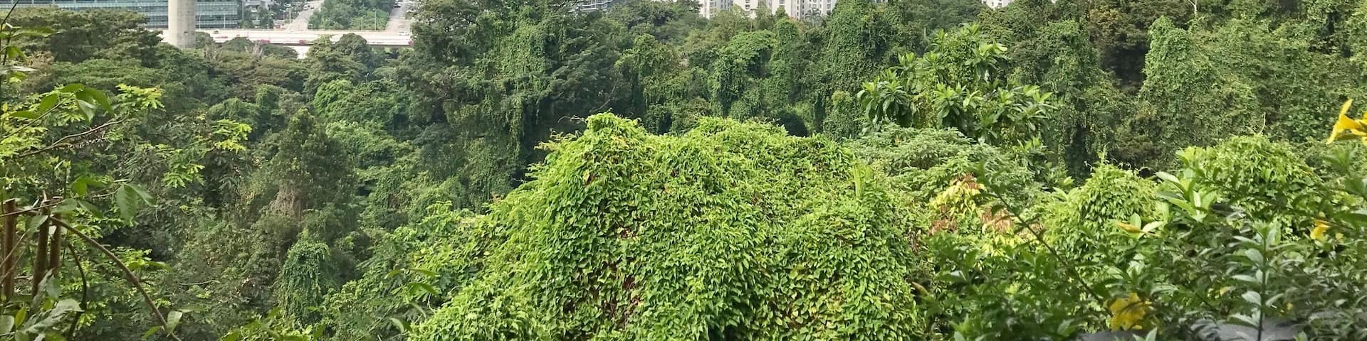 Travelling over to Sentosa Island - great views and experience.