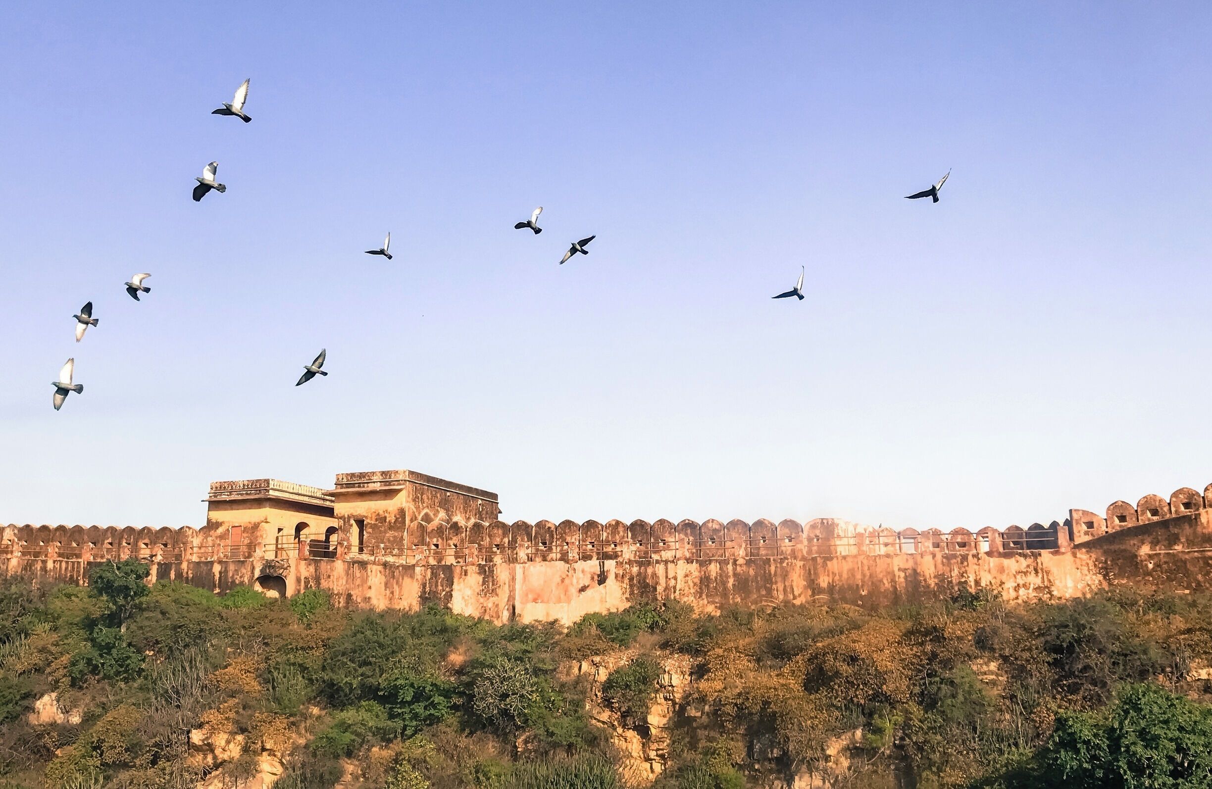 Jaigarh fort!  #InStone