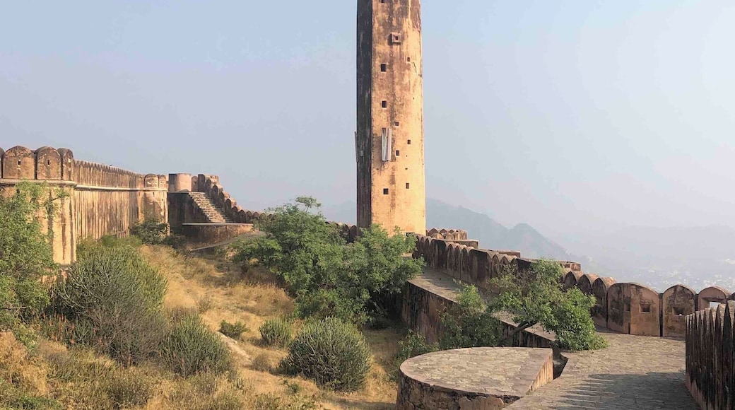 The 1 and 1/4 flag. When the King of Jaipur is in town the quarter flag also flies. The significance of this is that the King of Jaipur is 1 and 1/4 more intelligent than the average man.