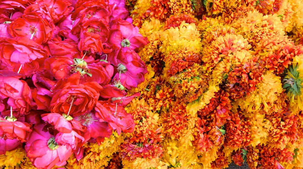 Johri Bazaar which includes flowers
