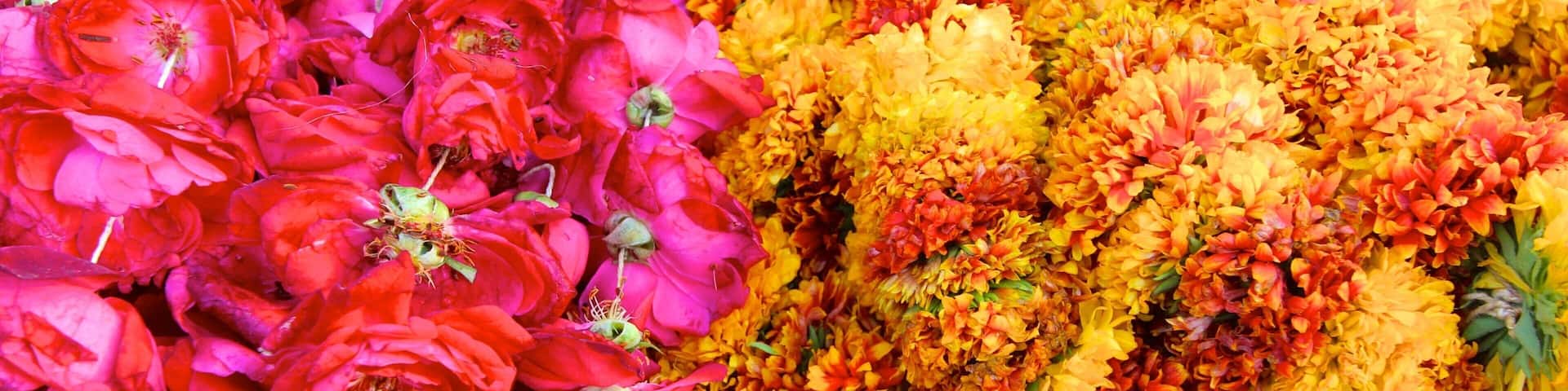 Johri Bazaar which includes flowers