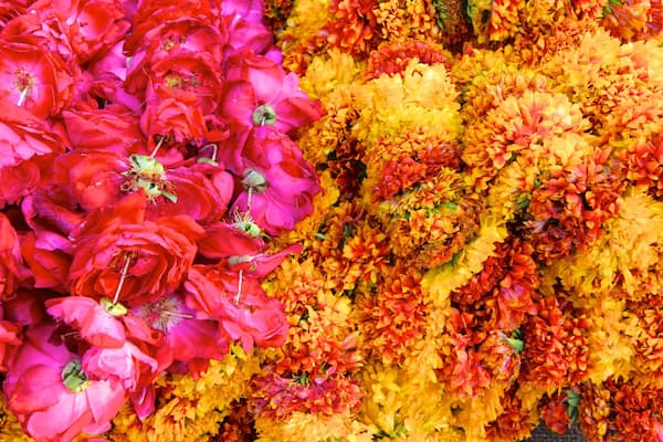 Johri Bazaar which includes flowers