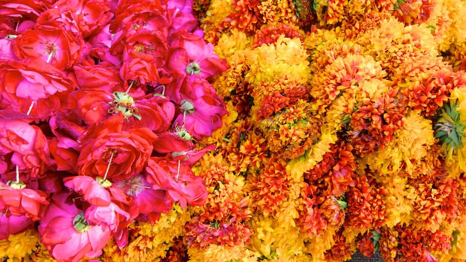 Johari Bazaar mostrando flores