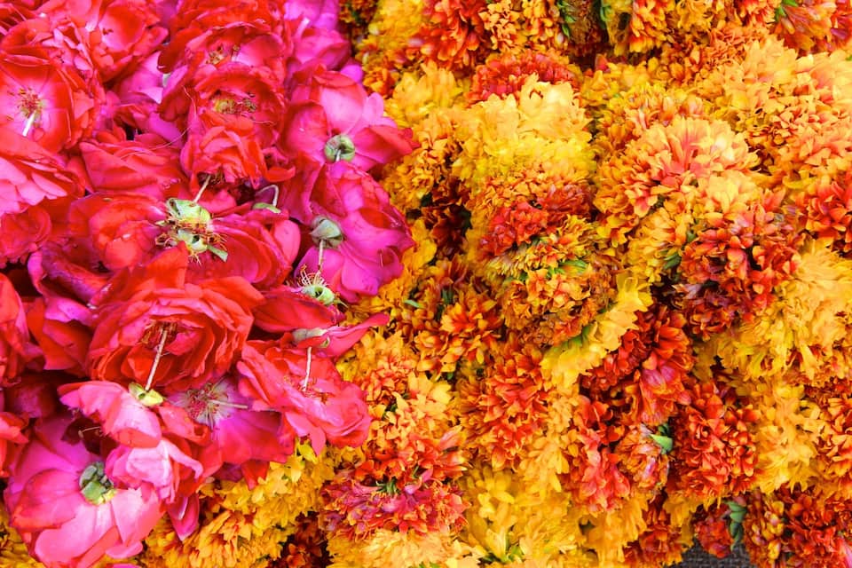 Um close-up de flores vibrantes vermelhas e amarelas.