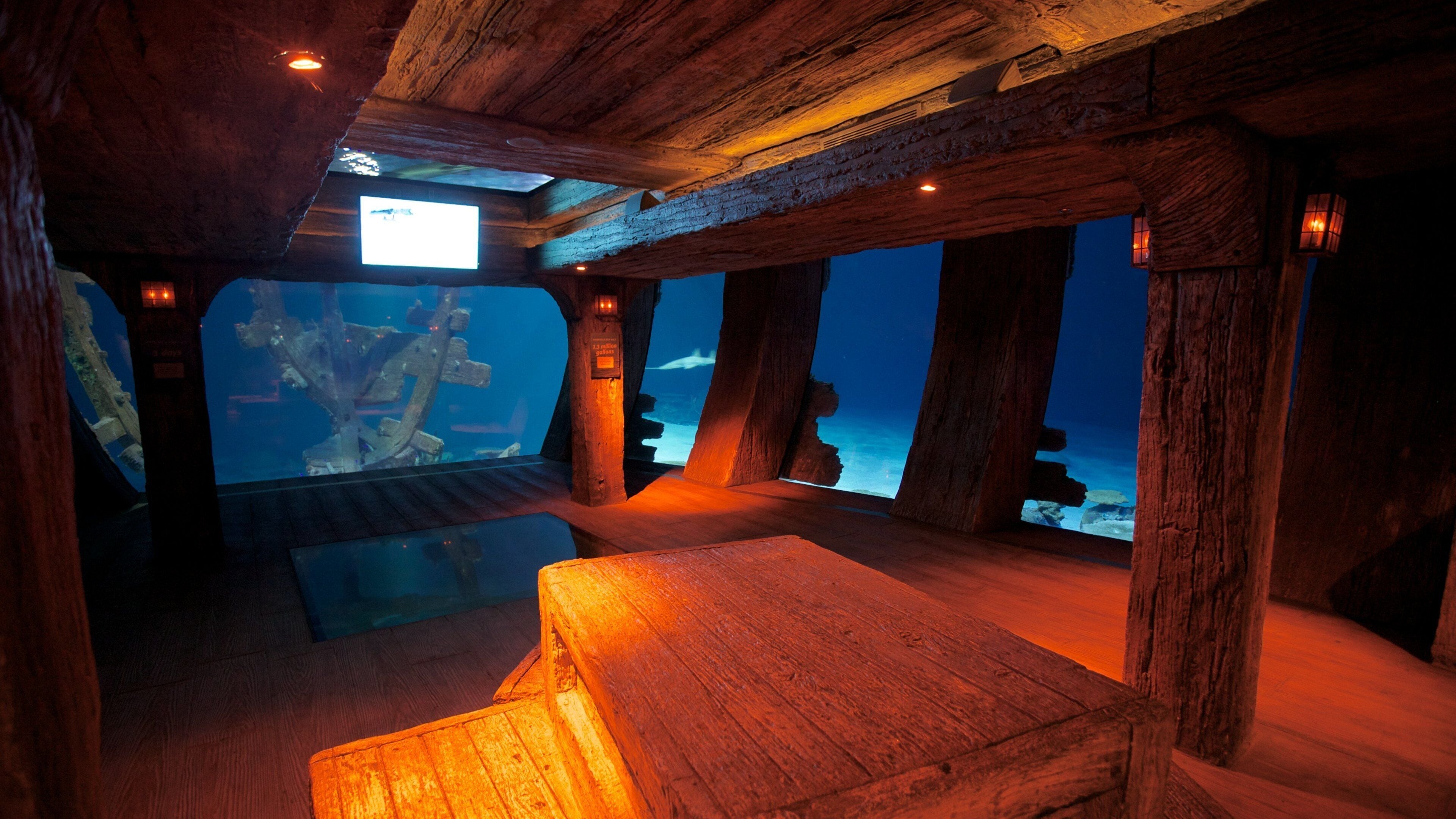 Aquarium Shark Reef du Mandalay Bay qui includes vues intérieures