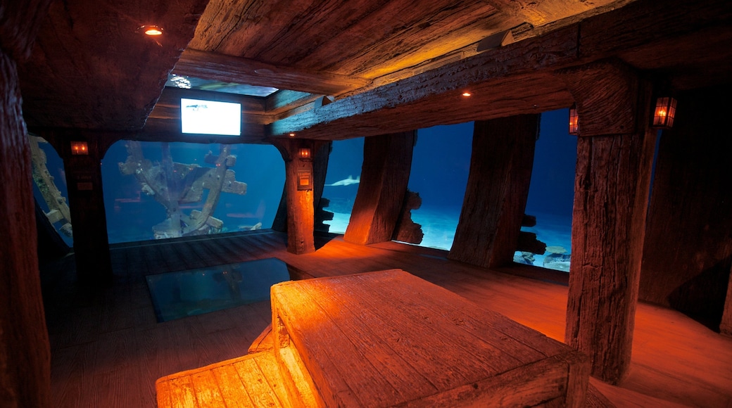 Shark Reef at Mandalay Bay 其中包括 內部景觀