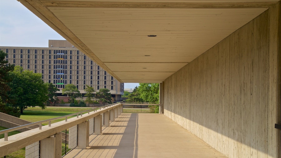 ブラニアー美術館 フィーチャー 公園