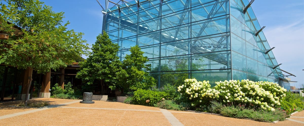 Reiman Gardens ofreciendo un jardín y flores silvestres