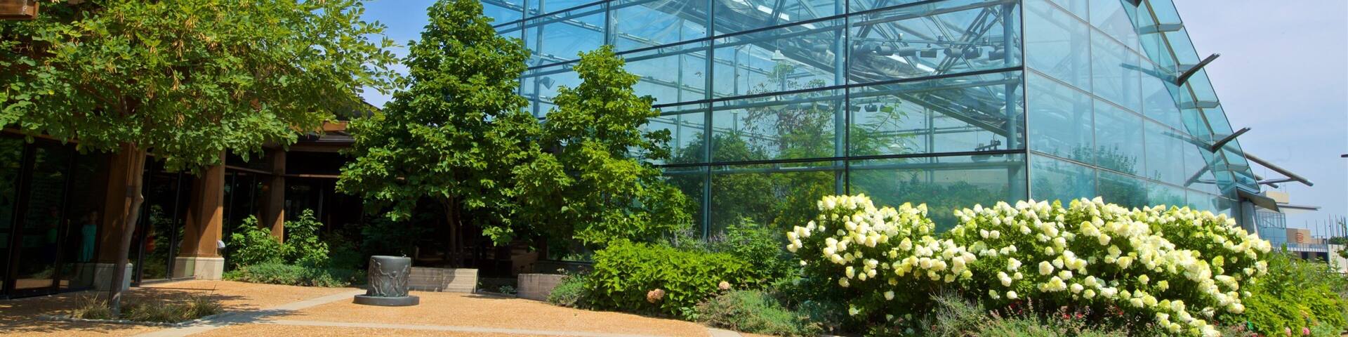 Reiman Gardens featuring a garden and wildflowers