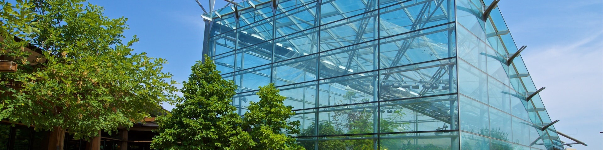 Jardins Reiman que inclui um parque e flores silvestres