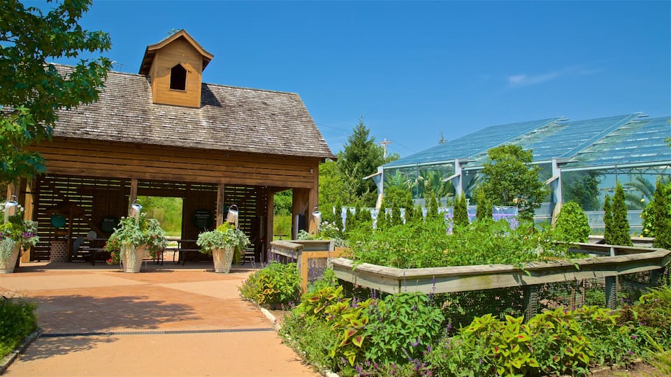A wooden building with a sloped roof, surrounded by a garden with various plants and a greenhouse in the background.