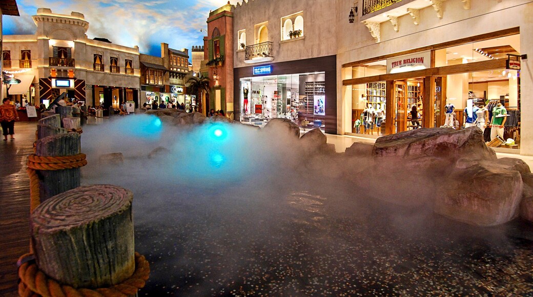 Miracle Mile Shops showing a pond and interior views