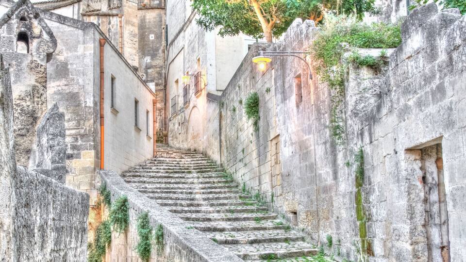 A narrow stone staircase in a historic building with moss and ivy growth.
