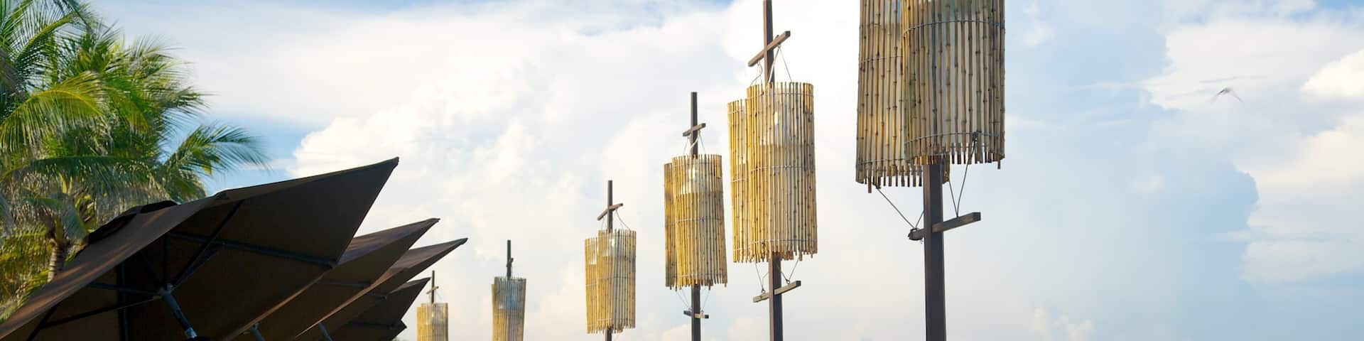 Seminyak mettant en vedette vues littorales et scĂšnes tropicales