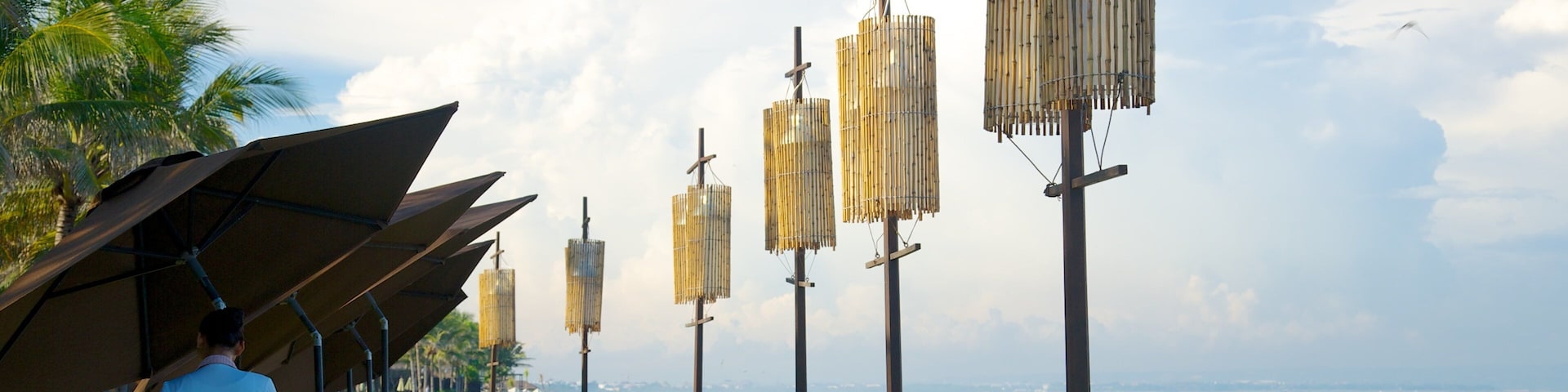 Seminyak featuring tropical scenes and general coastal views