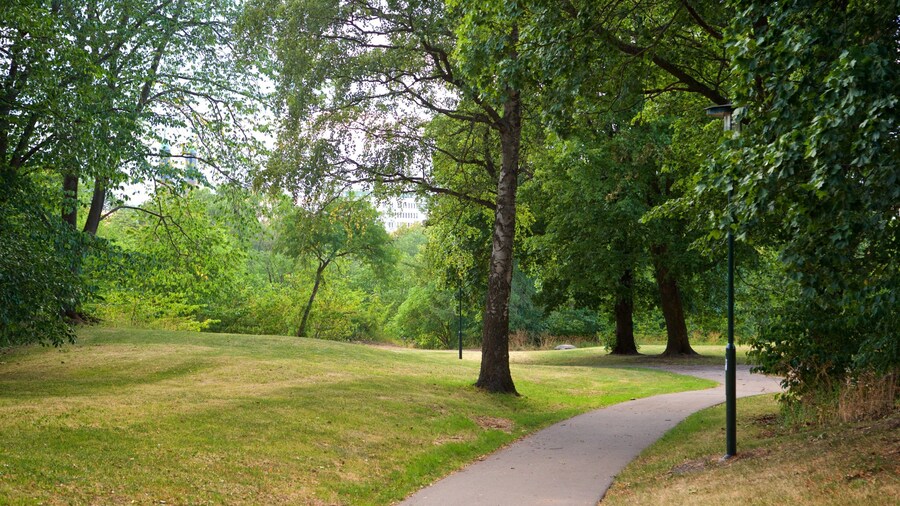 Tantolunden Park featuring a park