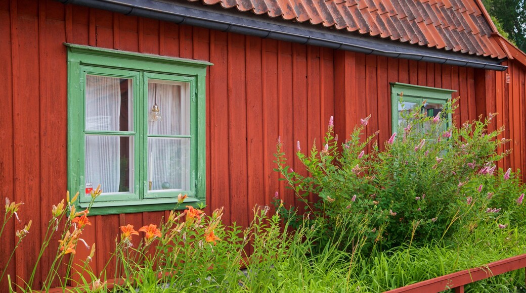 Vitabergsparken Park showing wildflowers, a house and heritage elements
