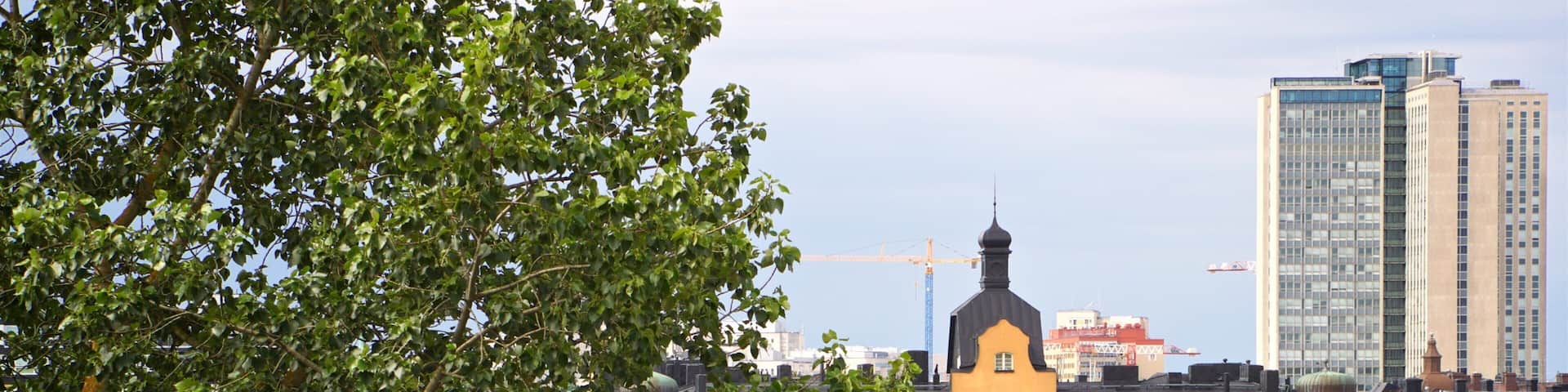 Vitabergsparken Park showing heritage architecture