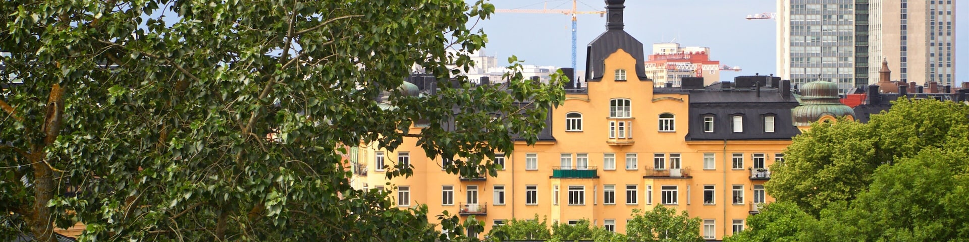 Vitabergsparken Park showing heritage architecture