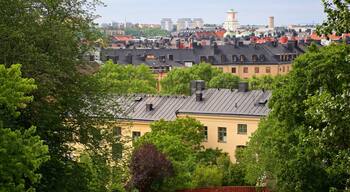 Vitabergsparken Park showing a small town or village
