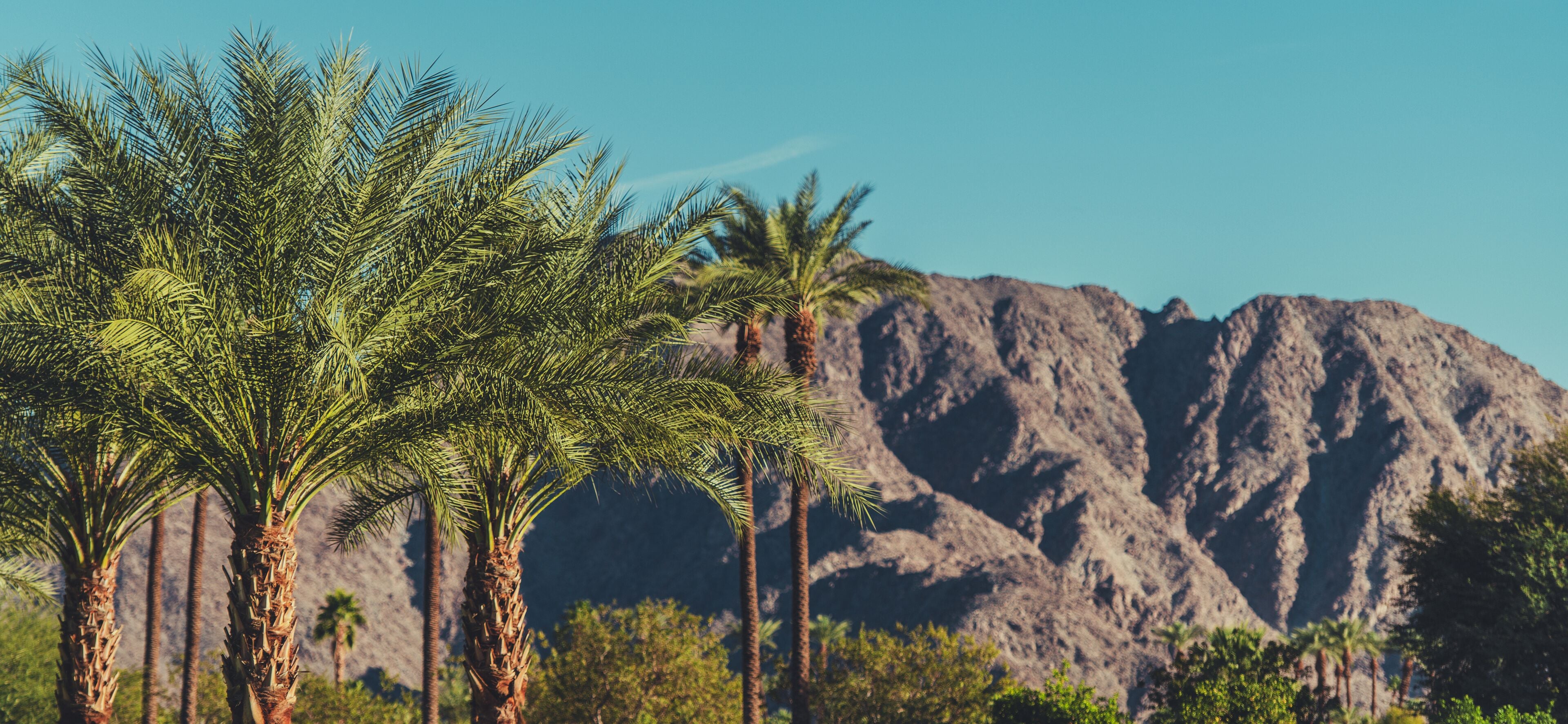 California Coachella Valley Landscape