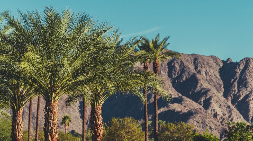 California Coachella Valley Landscape