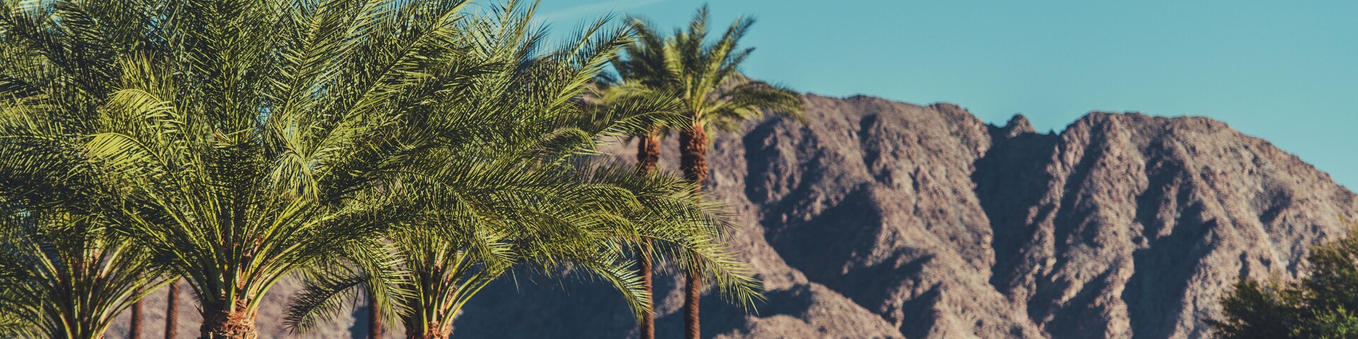 California Coachella Valley Landscape