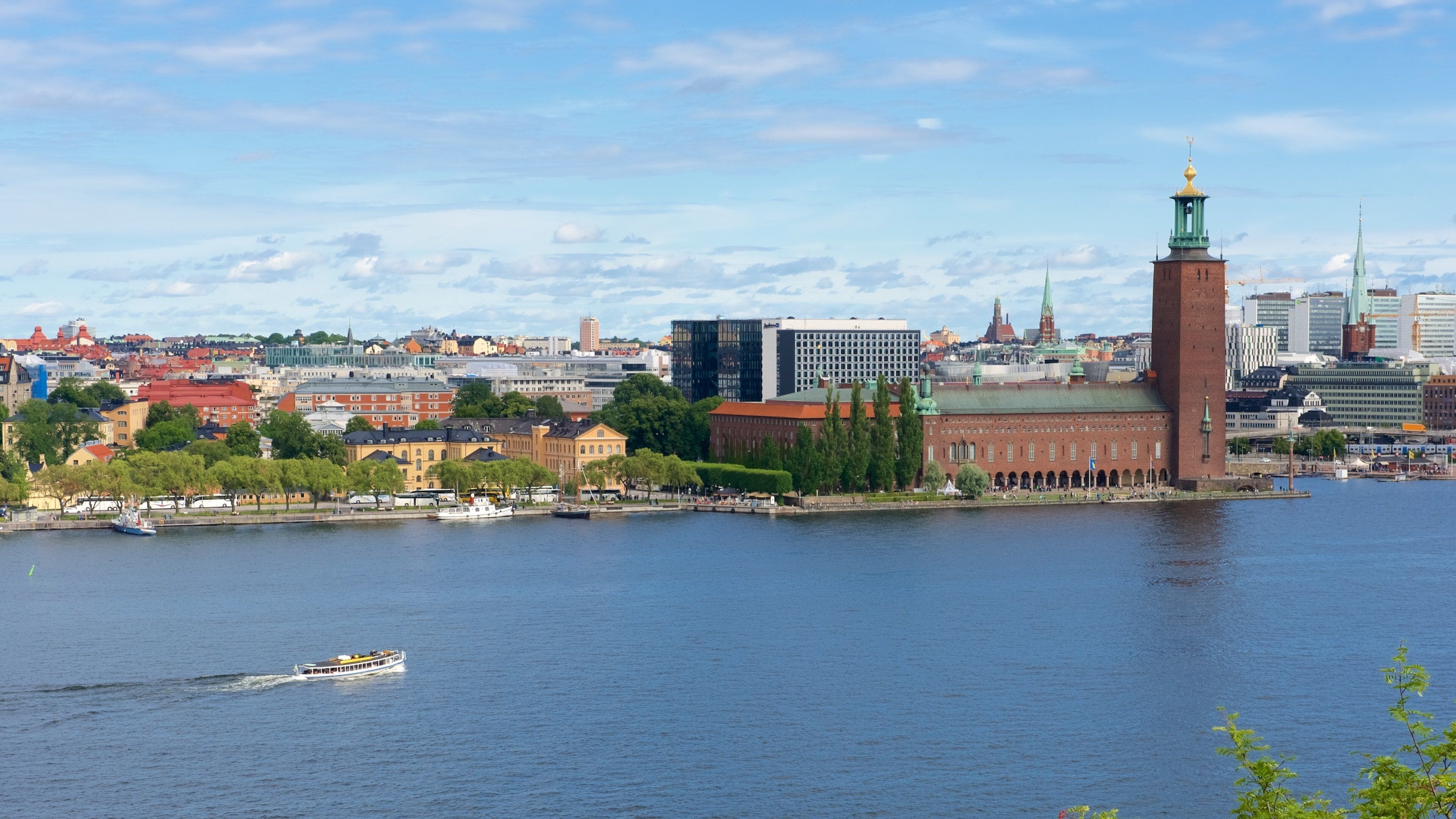 Skinnarviksparken presenterar en stad och en å eller flod