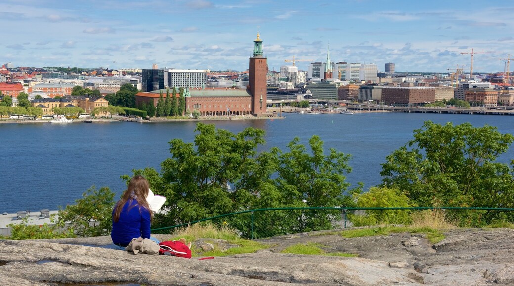 Skinnarvik Park featuring views and a city