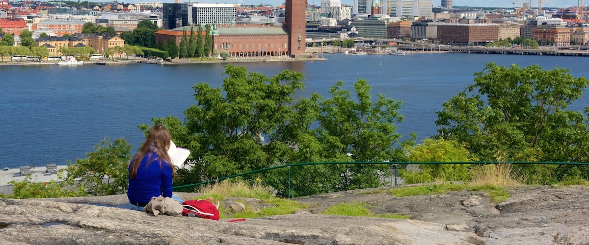 A person sitting on rocks overlooking a cityscape with a river, a prominent tower, and a bridge.