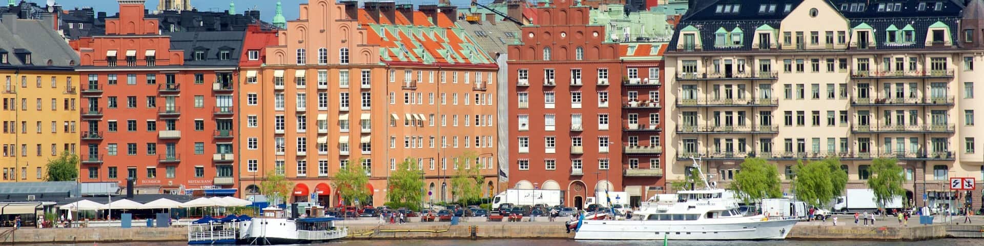 Skinnarvik Park showing a city