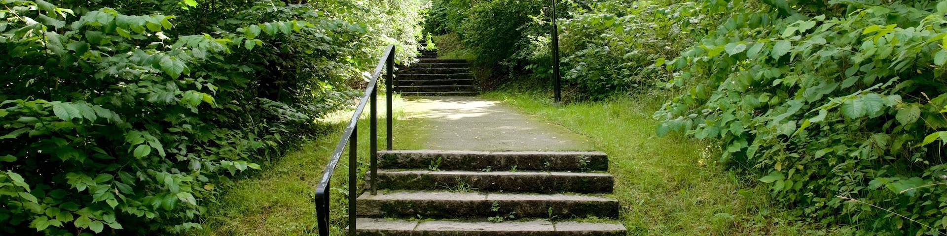 Skinnarvik Park mostrando florestas