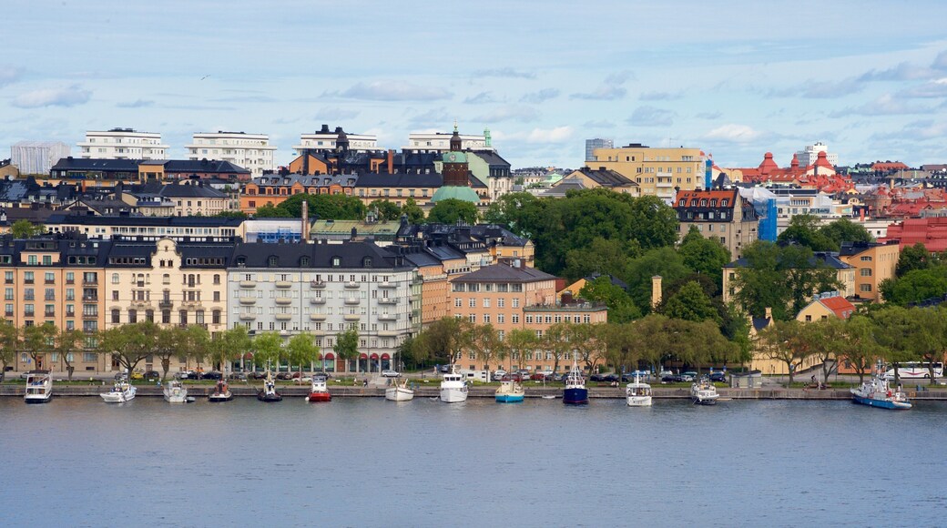 Skinnarvik Park which includes a city and a river or creek