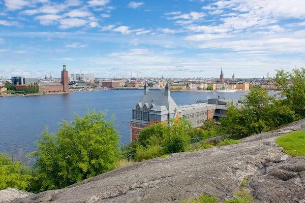 Skinnarvik Park which includes a city