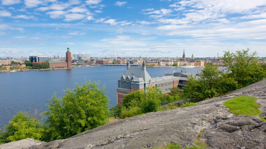 Skinnarvik Park which includes a city
