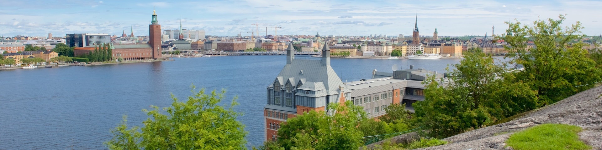 Skinnarvik Park which includes a city