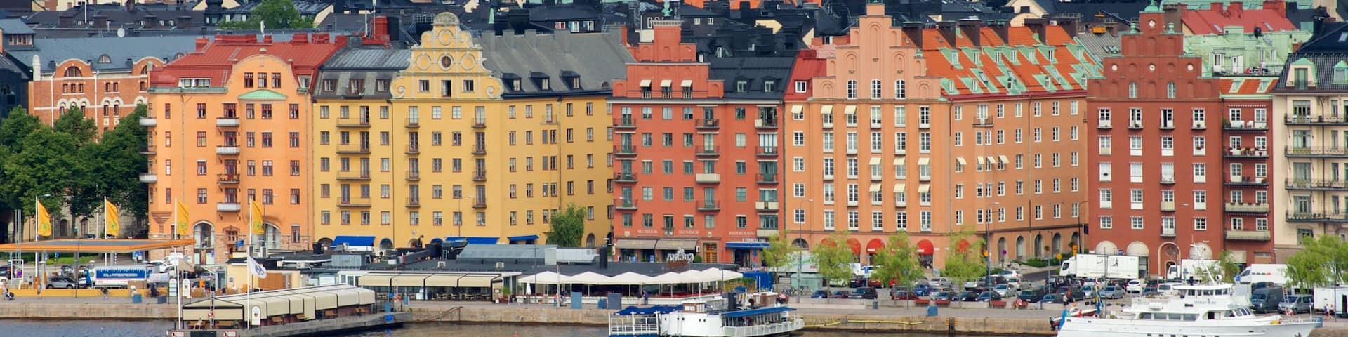 Skinnarvik Park showing a city