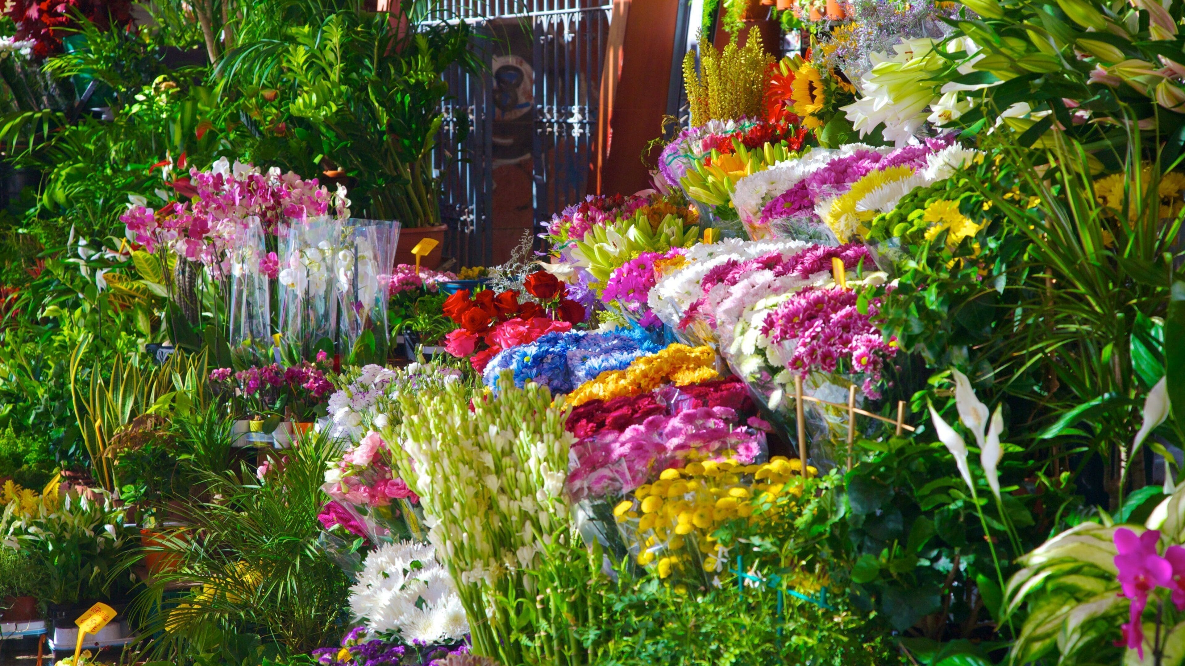 Mercado Central inclusief bloemen en markten
