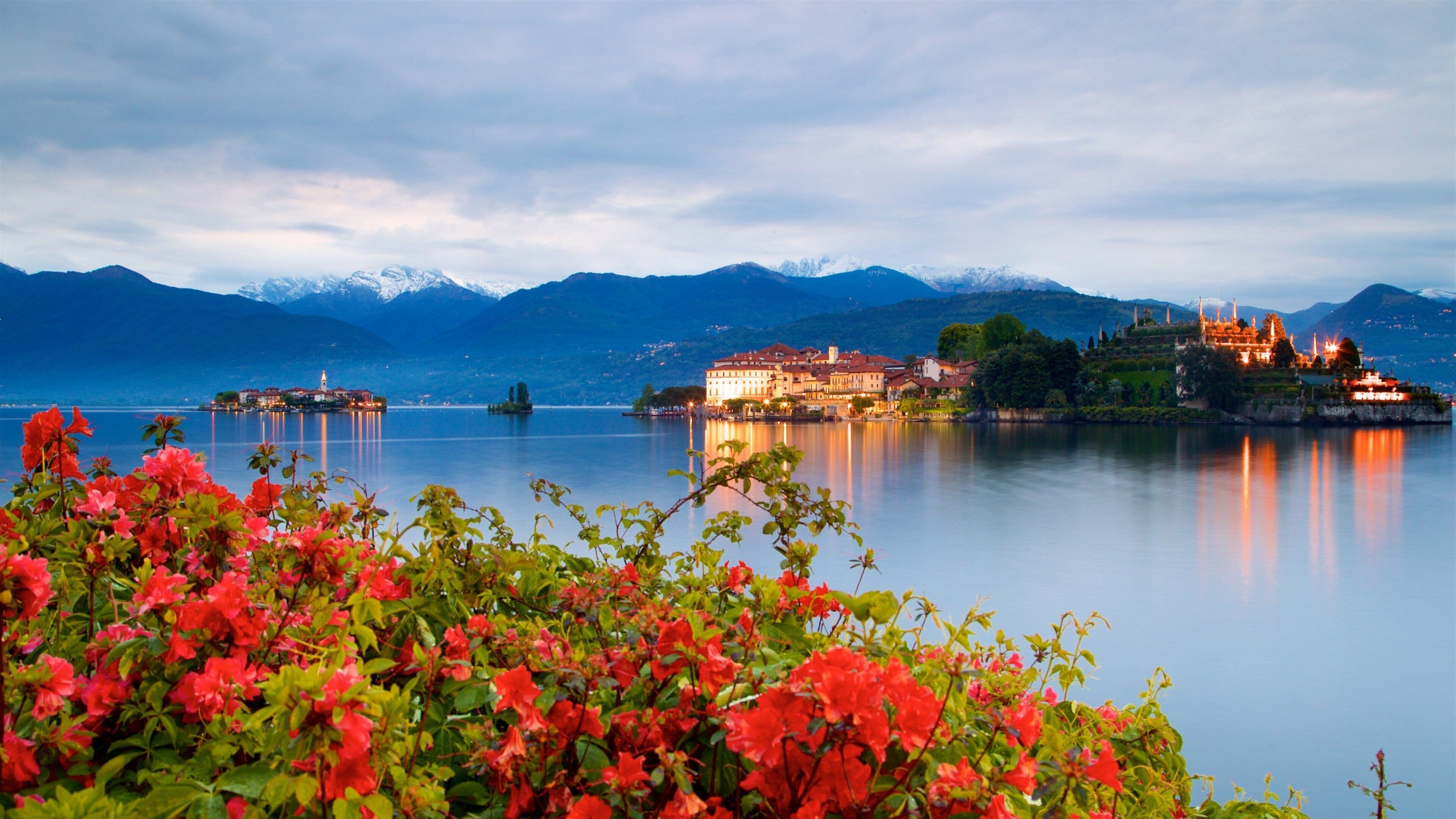 Lake Maggiore which includes a lake or waterhole, wildflowers and mountains