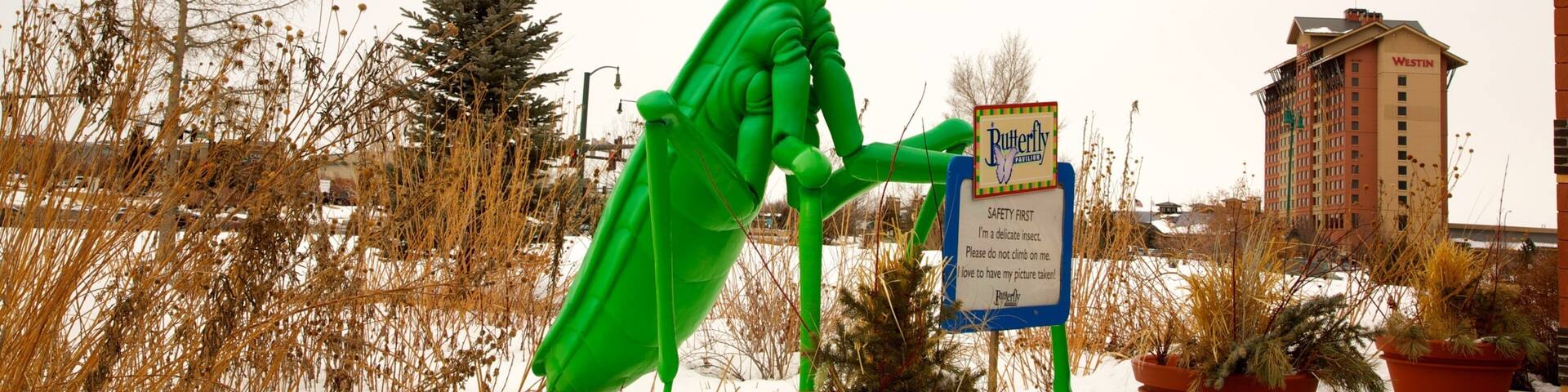 Butterfly Pavilion which includes a statue or sculpture