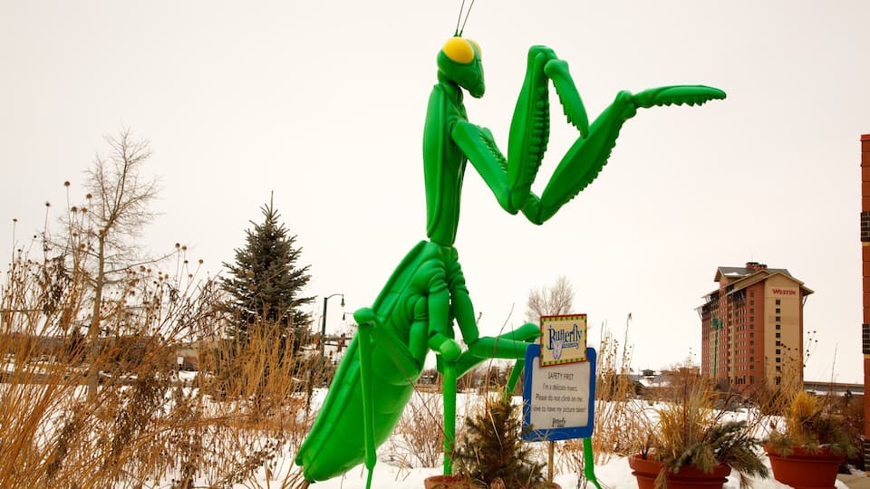 Butterfly Pavilion which includes a statue or sculpture