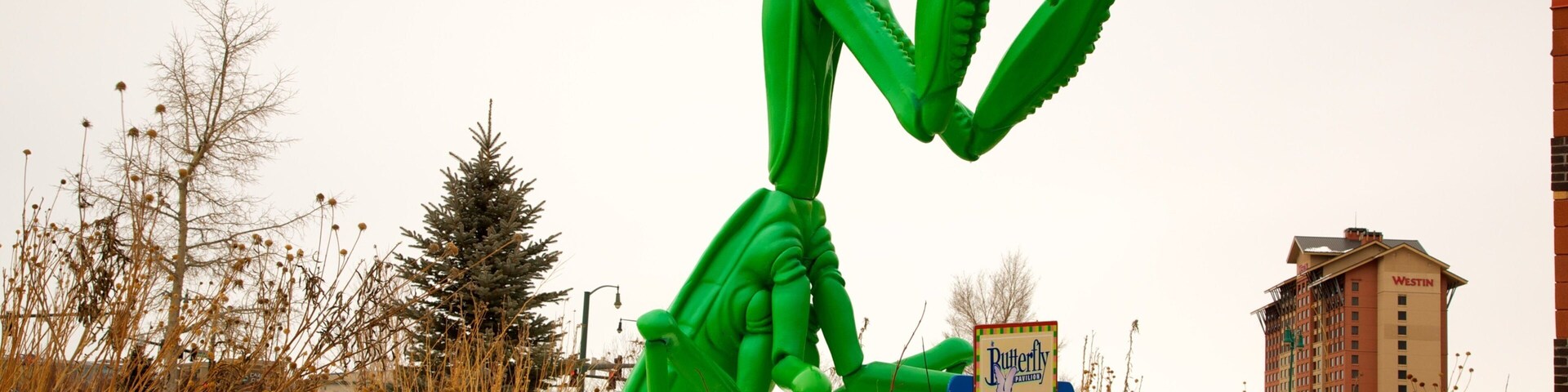 บัตเตอร์ฟลายพาวิลเลียน เนื้อเรื่องที่ อนุสาวรีย์หรือรูปปั้น