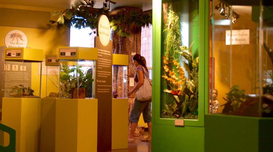 Pabellón de Mariposas que incluye animales del zoo y vistas de interior y también una mujer