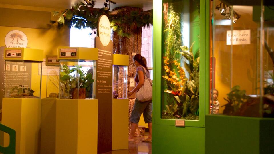 Uma exposição de museu com vitrines de vidro, placas informativas e uma placa indicando aos visitantes para 'Entrar aqui para Rosie'.
