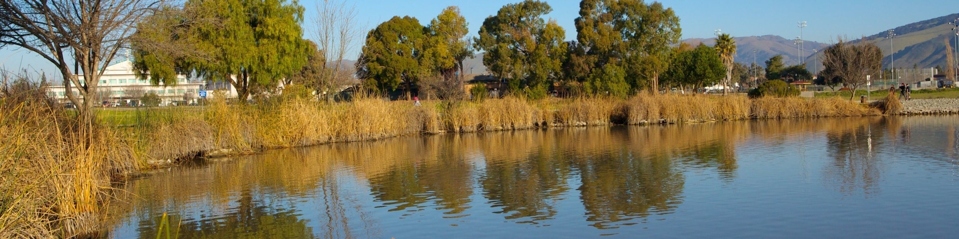 Parque Fremont Central ofreciendo vista general a la costa, un parque y vista panorámica