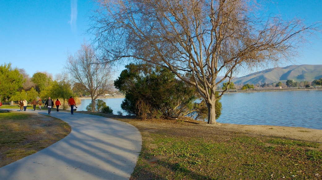 Fremont Central Park mostrando um lago ou charco, paisagem e um jardim