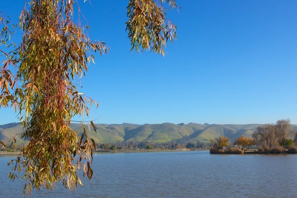 Fremont Central Park featuring a lake or waterhole, forest scenes and fall colors